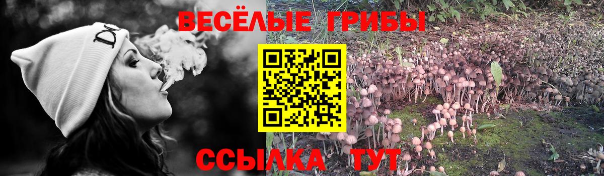 Камышин  Галлюциногенные грибы Magic Shrooms  Вход с VPN 